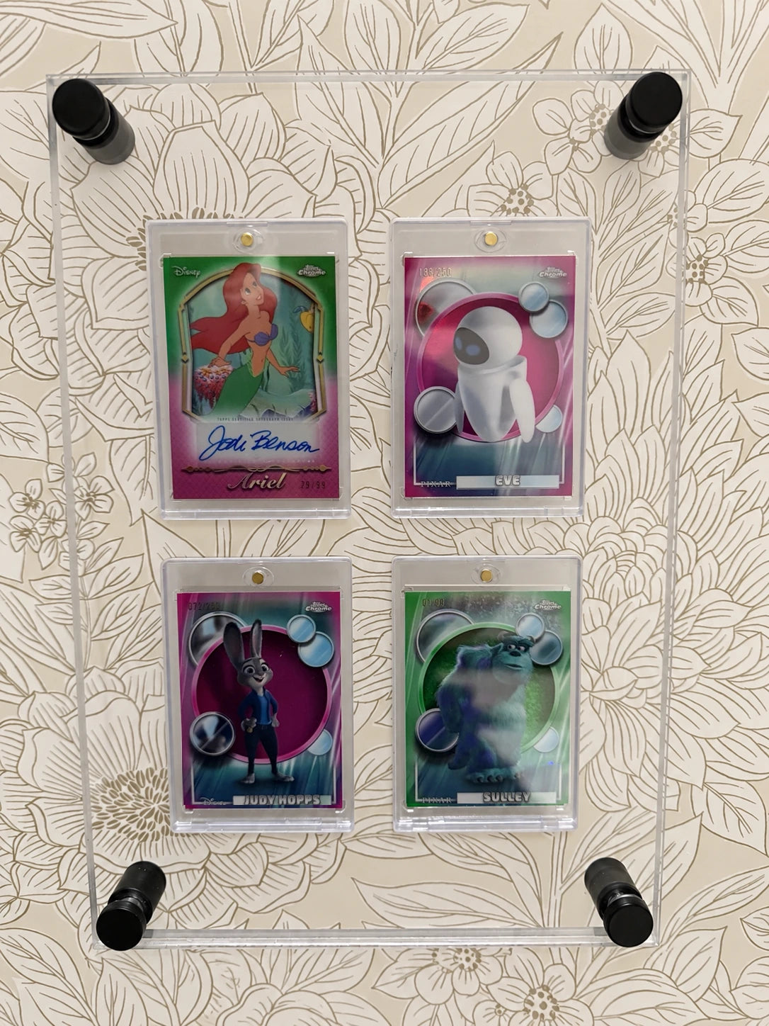 Real MACHASE WALL/04 acrylic wall display with four cards